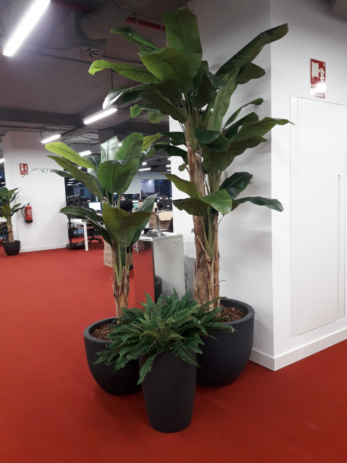 Plantas artificiales en Madrid 05